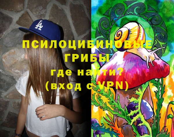 эйфоретик Арсеньев