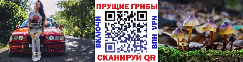 МЕГА зеркало  Верхнеуральск  Галлюциногенные грибы MAGIC MUSHROOMS  наркотики 